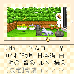 �����̔L�摜