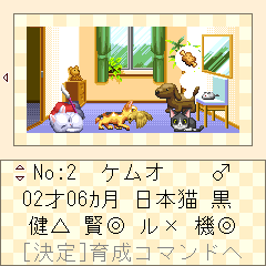 �����̔L�摜