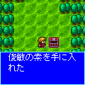 �����̖����摜
