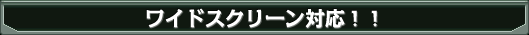ワイドスクリーン対応!!