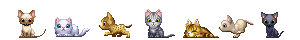 猫達
