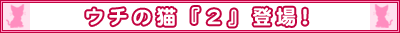 ウチの猫「2」登場!
