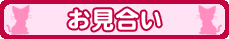 お見合い