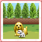 犬ロボ