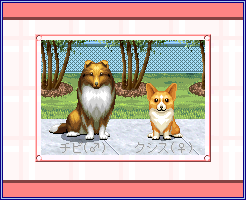 公園