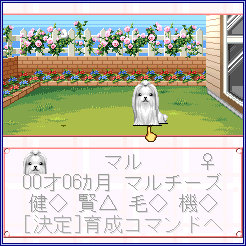 育成画面