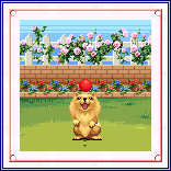 ゴムボール