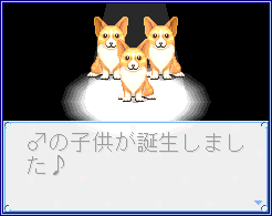 カップリング