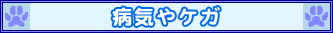 病気やケガ