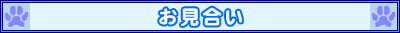 お見合い