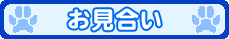 お見合い