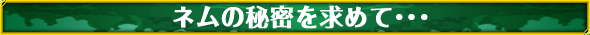 ネムの秘密を求めて・・・