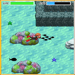 海の中