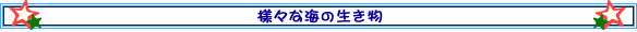 lXȊC̐