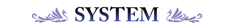 system