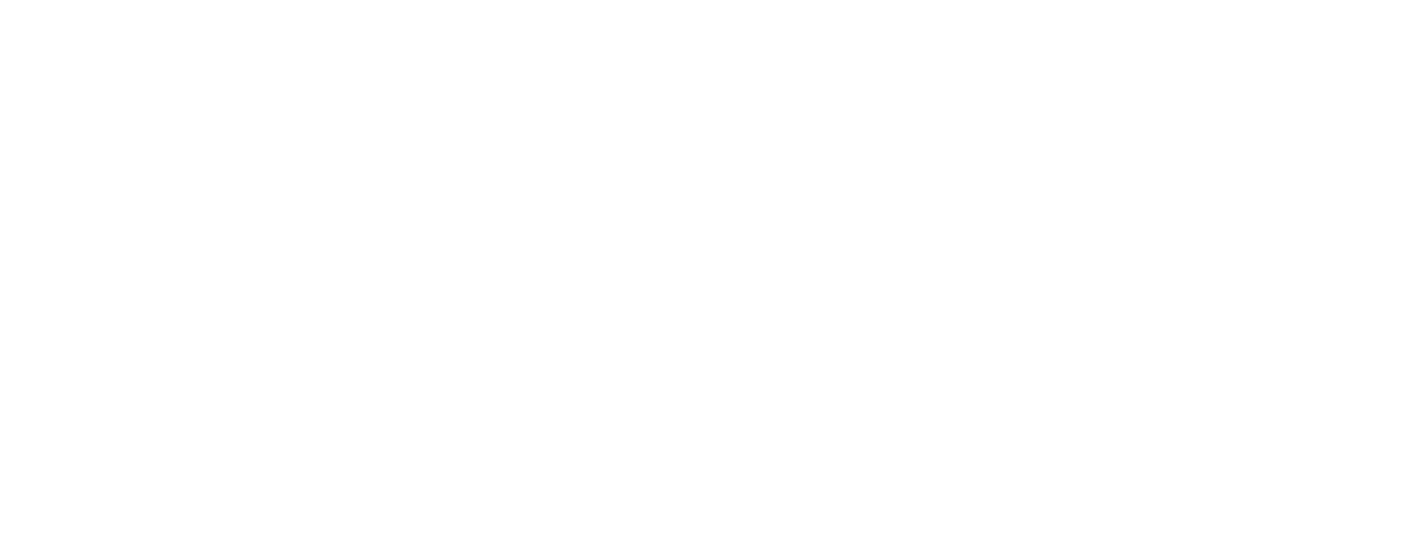 studio Wandervogel