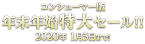 年末年始特大セール!!　2020年1月5日まで!