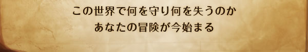 
この世界で何を守り何を失うのか
あなたの冒険が今始まる