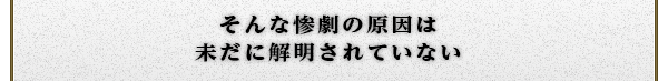 そんな惨劇の原因は
未だに解明されていない