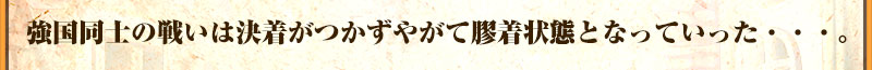 強国同士の戦いは決着がつかず
やがて膠着状態となっていった・・・。